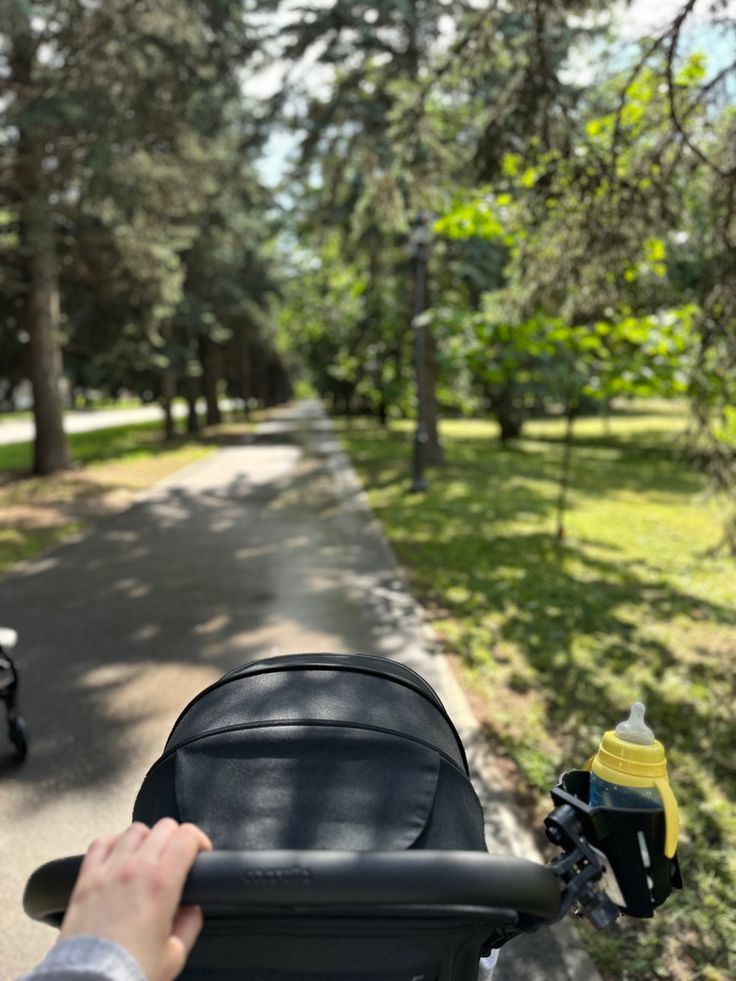 🧸 Paseo & Aventuras